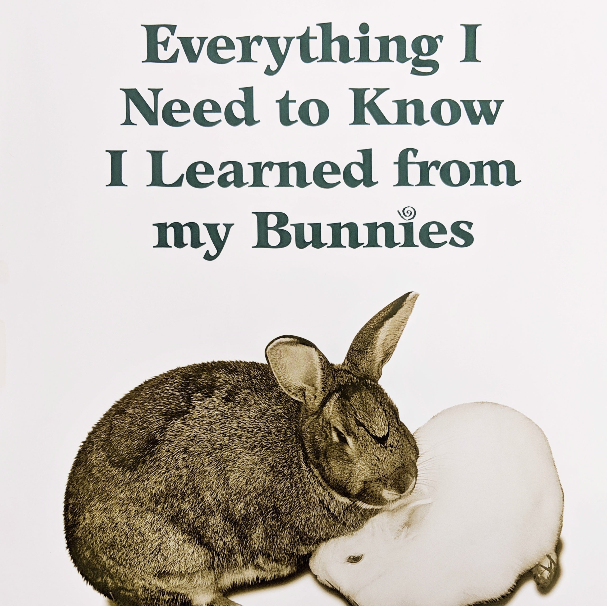 I need a bunny clearance