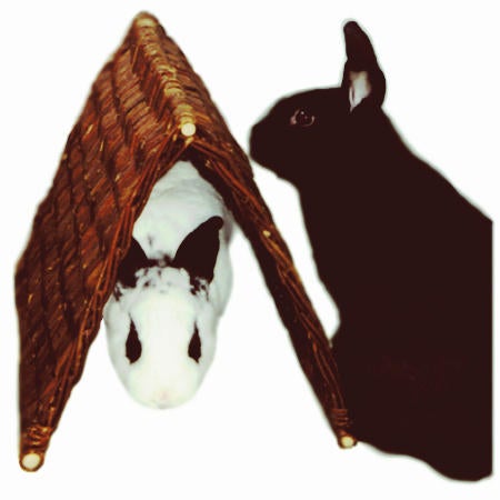 Willow tent deals for rabbits