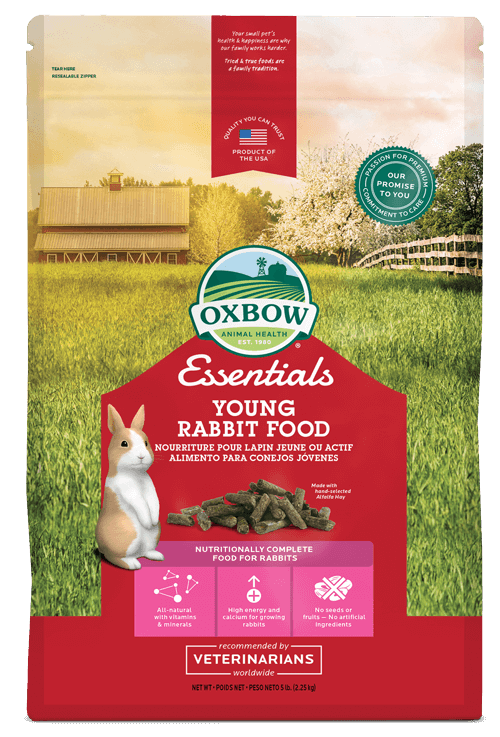 OXBOW YOUNG RABBIT